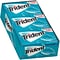 Trident Sugar Free Wintergreen Gum, 16 oz., 14 Pieces/Pack, 12/Pack (304-00058)