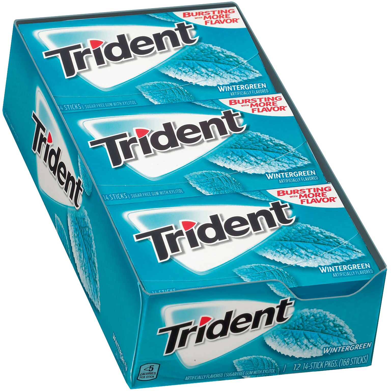 Trident Sugar Free Wintergreen Gum, 16 oz., 14 Pieces/Pack, 12/Pack (304-00058)