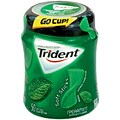 Trident Sugar Free Spearmint Gum, 16 oz., 50 Pieces/Pack, 6/Pack (304-01066)
