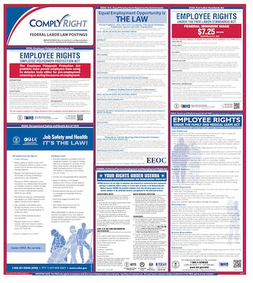 ComplyRight™ Federal Labor Law Poster, English (ERFED)
