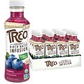 TREO® Organic Birch Water Infusion Blueberry, 16 Oz., 12/CT