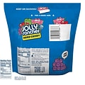 Jolly Rancher Hard Candy, Assorted Flavors, 14 oz., (HEC55686)