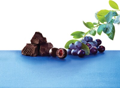 BROOKSIDE Dark Chocolate Acai and Blueberry Flavors, 21 Ounces, 2/BD (HEC91145)