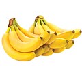 Fresh Groceries Fresh Bananas, 6 lbs., 2/Pack (02912)