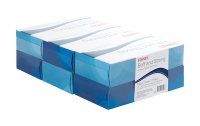 Brighton Professional™ 2-Ply Facial Tissue, Flat Box, 100 Sheets/Box, 6 Boxes/Pack