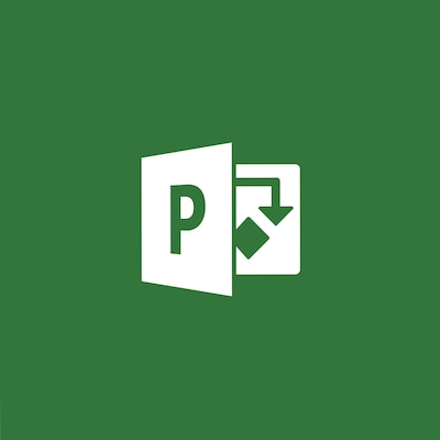 Microsoft Project Professional 2019 for 1 User, Windows, Download (H30-05756)