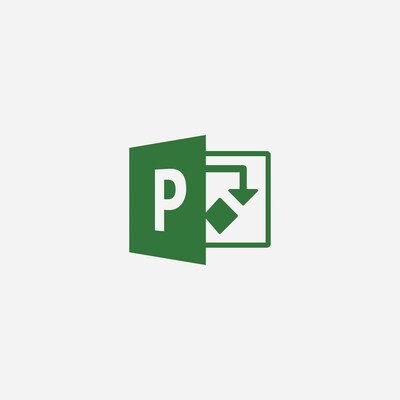 Microsoft Project Standard 2019 for 1 User, Windows, Download (076-05785)