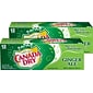 Canada Dry Ginger Ale Soda, 12 oz., 24/Carton (00078000152166)