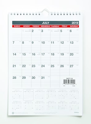 2019-2020 11H x 8W Staples Academic Monthly Wall Calendar, 12 Months (54277-19)
