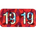 Medical Arts Press® Holographic End-Tab Year Labels, 2019, Red