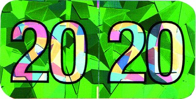 Medical Arts Press® Holographic End-Tab Year Labels, 2020, Green