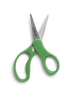 Staples Teacher Pack 5" Kids Pointed Tip Stainless Steel Scissors, Straight Handle, Right & Left Handed, 12/Pack (TR55057)