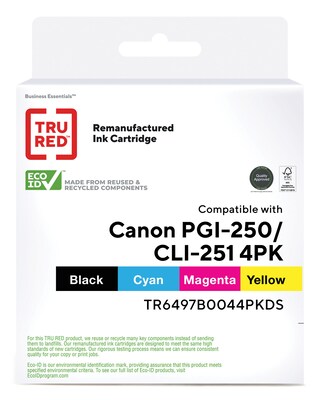 TRU RED™ Remanufactured Black/Cyan/Magenta/Yellow Standard Yield Ink Replacement for Canon PGI-250/CLI-251 (6497B004), 4/Pack