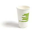 Perk™ Compostable Paper Hot Cup, 16 Oz., White/Green, 300/Carton (PK56221)