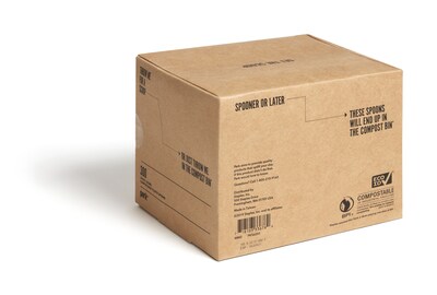 Perk™ Compostable PLA Spoon, Medium-Weight, White, 300/Pack (PK56203)