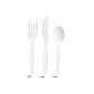 Perk™ Polystyrene Assorted Cutlery, Medium-Weight, White, 300/Pack (PK56406)