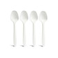 Perk™ Compostable PLA Spoon, Medium-Weight, White, 1800/Carton (PK56203CT)