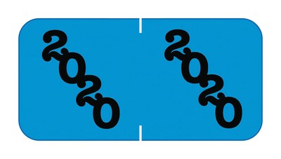 Medical Arts Press® Jeter® Large Compatible 4-Digit Year Labels; 2020, Blue