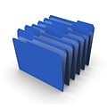Staples® Reinforced File Folders, 1/3 Cut Tab, Letter Size, Blue, 100/Box (TR508911)