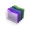 TRU RED™ Reinforced Plastic File Pocket, Letter Size, Assorted, 5/Each (20674)