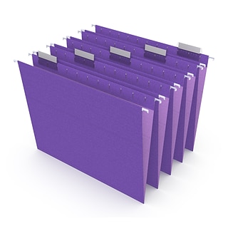 TRU RED™ Hanging File Folder, 5-Tab, Letter Size, Purple, 25/Box (TR419200)