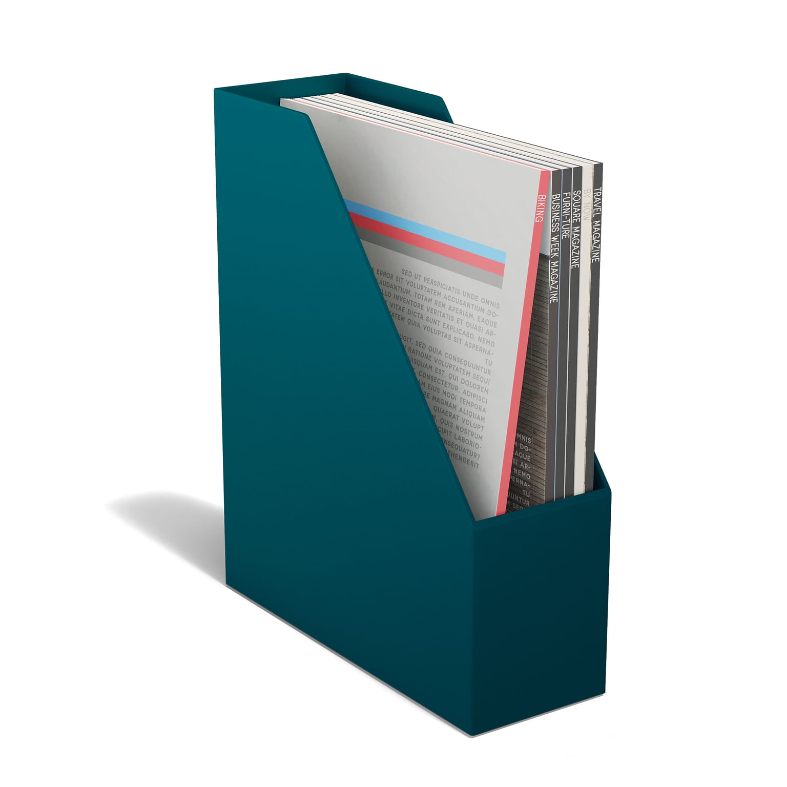 TRU RED™ Plastic Magazine File, Teal (TR55283)