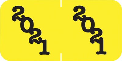 Medical Arts Press Jeter Large Compatible 4-Digit Year Labels; 2021, Yellow, 500/Roll (3377221)