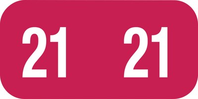 Medical Arts Press TAB 2021  Small Compatible Dark Pink End-Tab Year Labels; 1/2 x 1, 250/Pack (3266621)