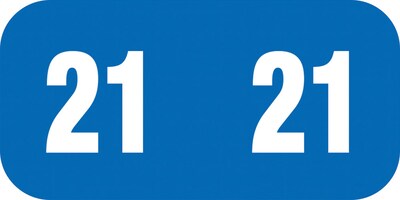 Medical Arts Press Smead Compatible Blue Small End-Tab Year Labels; 2021 (3266321)