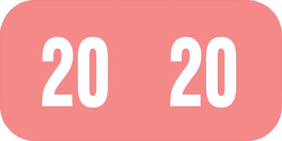 2020 Medical Arts Press® TAB® Small Compatible Pink End-Tab Year Labels; 1/2 x 1, 250/PK