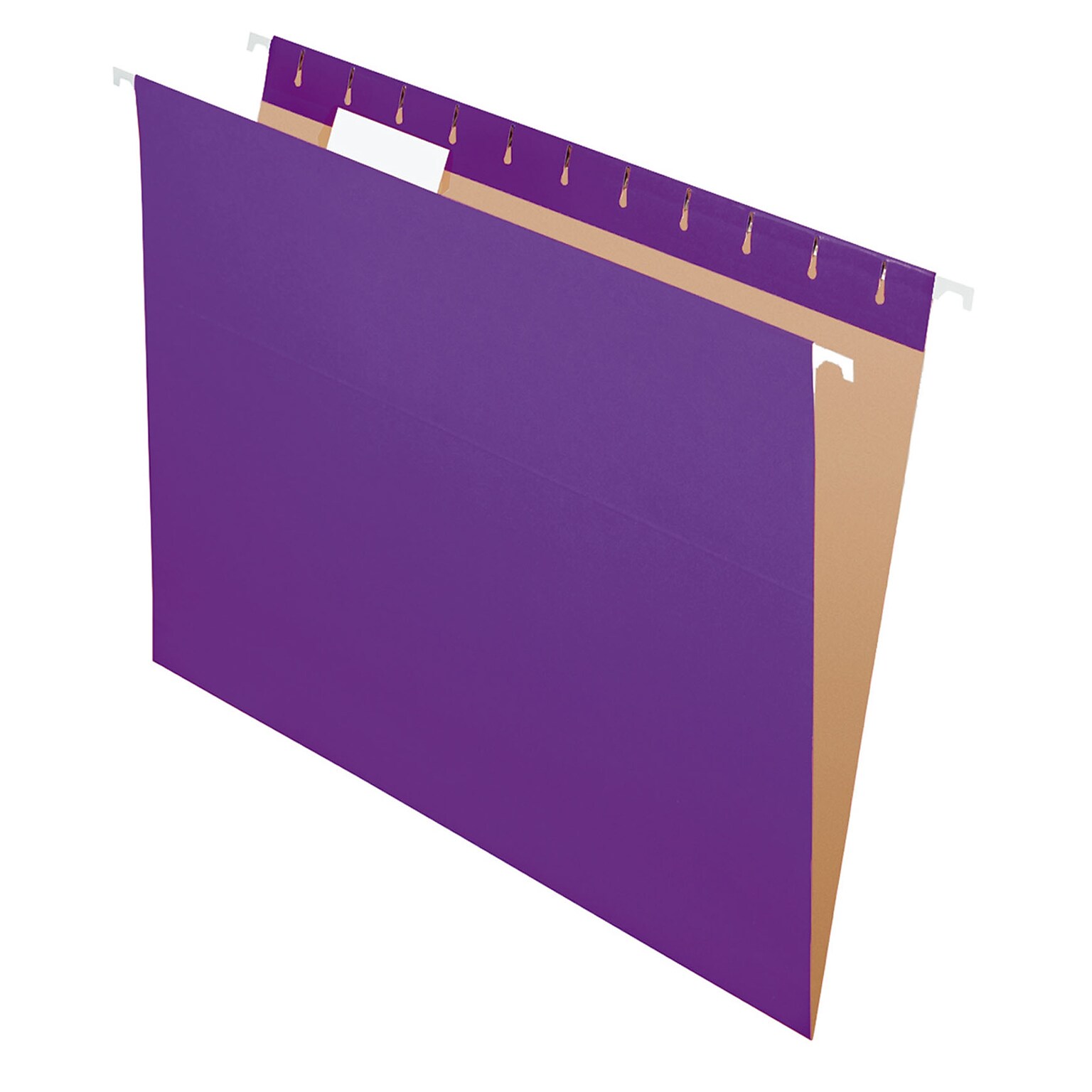 Pendaflex Recycled Hanging File Folders, 1/5 Tab, Letter Size, Violet, 25/Box (81611)