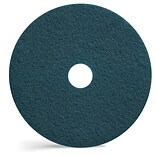 Coastwide Professional™ 20 Cleaning Floor Pad, Blue, 5/Carton (CW22981)