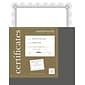 Southworth Premium Spiro Design Certificates, 8.5" x 11", White/Silver, 15/Pack (CTP2W)