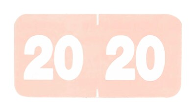 Medical Arts Press®  Compatible Tan Year Roll Style Labels; 2020
