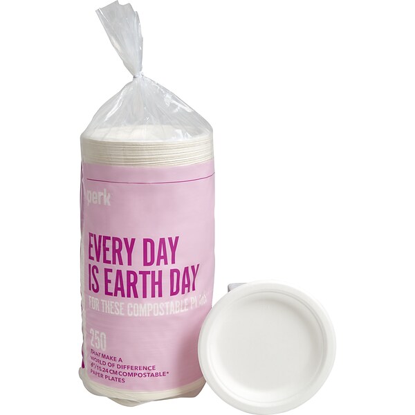 Perk™ Compostable Paper Plates, 6, White, 250/Pack (PK56337)