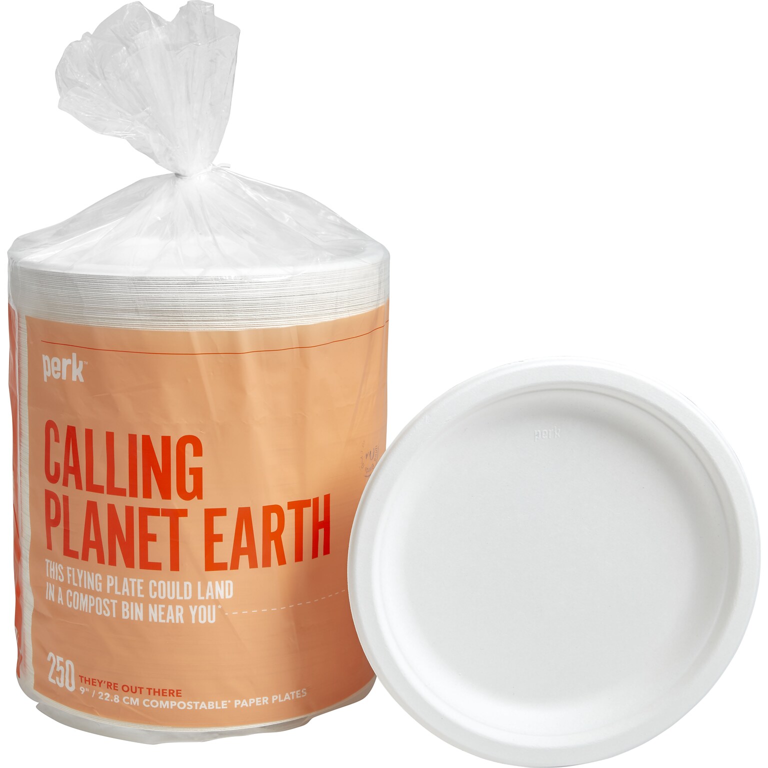 Perk™ Compostable Paper Plates, 9, White, 250/Pack (PK61287)
