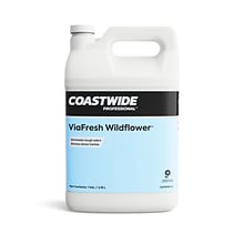 Coastwide Professional™ Air Freshener ViaFresh Wildflower Concentrate, 3.78L, 4/Carton (CW737001-A)