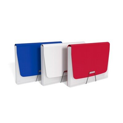 TRU RED Accordion File, 13-Pocket, Letter Size, Assorted Colors (TR51805)