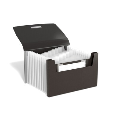 TRU RED™ Accordion File, 13-Pocket, Coupon Size, Assorted Colors (TR51804)
