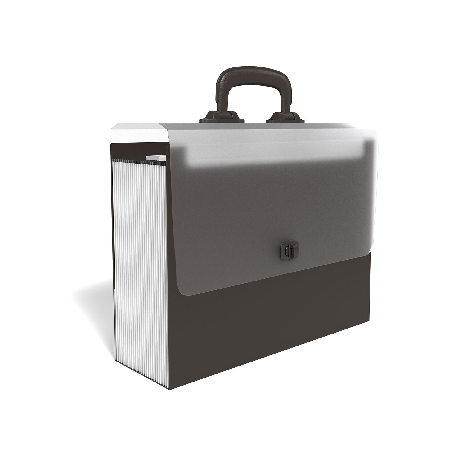 TRU RED™ Office Pro Accordion File, 26-Pocket, Letter Size, Black (TR51836)