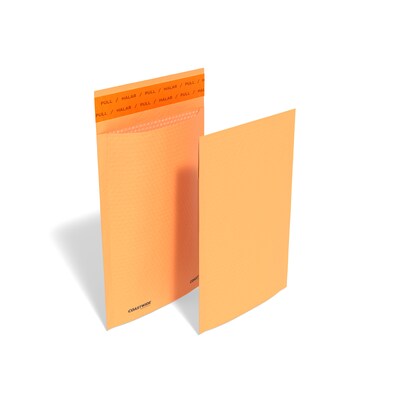Coastwide Professional™ 6.75 x 9 Self-Sealing Bubble Mailer, #0, Kraft, 250/Pack (CW56637B)