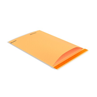 Coastwide Professional™ 13.13 x 17.75 Self-Sealing Bubble Mailer, #6, Kraft, 50/Carton (CW56653B)