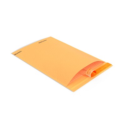 Coastwide Professional™ 11.25" x 15" Self-Sealing Bubble Mailer, #5, Kraft, 100/Pack (CW56638B)