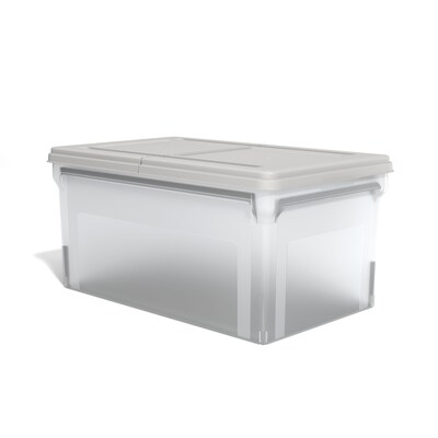 TRU RED™ Hanging File Box, Hinge Lid, Letter Size, Clear (TR58303)