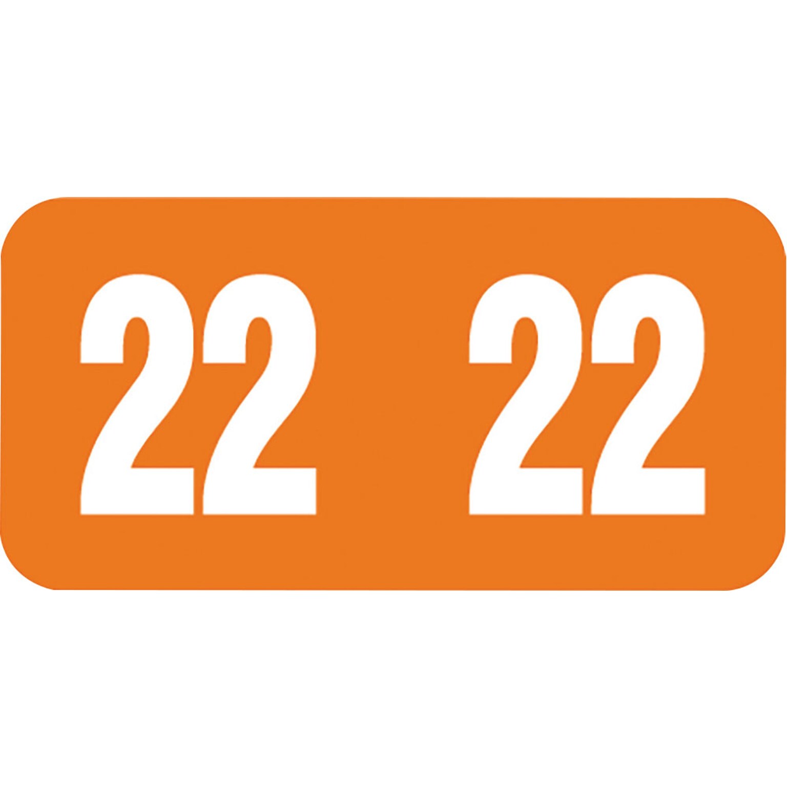 Medical Arts Press TAB Large Compatible Orange End-Tab Year Labels; 2022, 500/Roll (3266722)