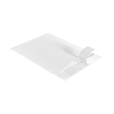 Packing List Envelope, 7" x 10", 1000/Carton (ST56491)