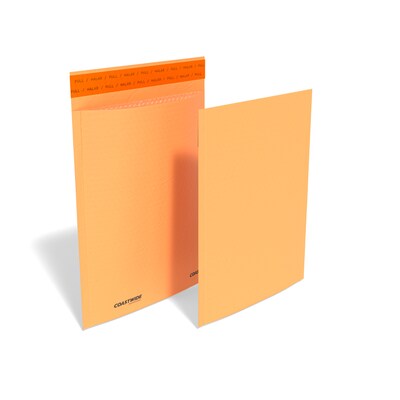 Coastwide Professional™ 9.25 x 11 Self-Sealing Bubble Mailer, #2, Kraft, 100/Carton (CW56581B)
