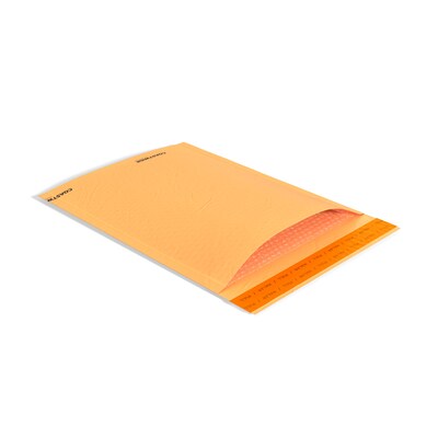 Coastwide Professional™ 9.25 x 11 Self-Sealing Bubble Mailer, #2, Kraft, 100/Carton (CW56581B)