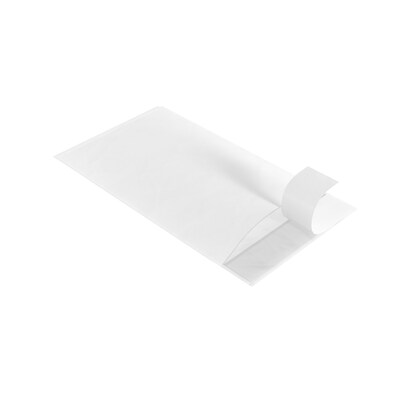 Coastwide Professional™ Packing List Envelope, 5.5" x 10", 1000/Carton (CW56490)