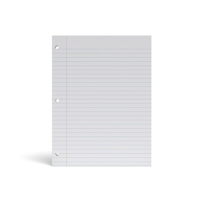 TRU RED™ Wide Ruled Filler Paper, 8" x 10.5", White, 100 Sheets/Pack, 12 Packs/Carton (TR23904)